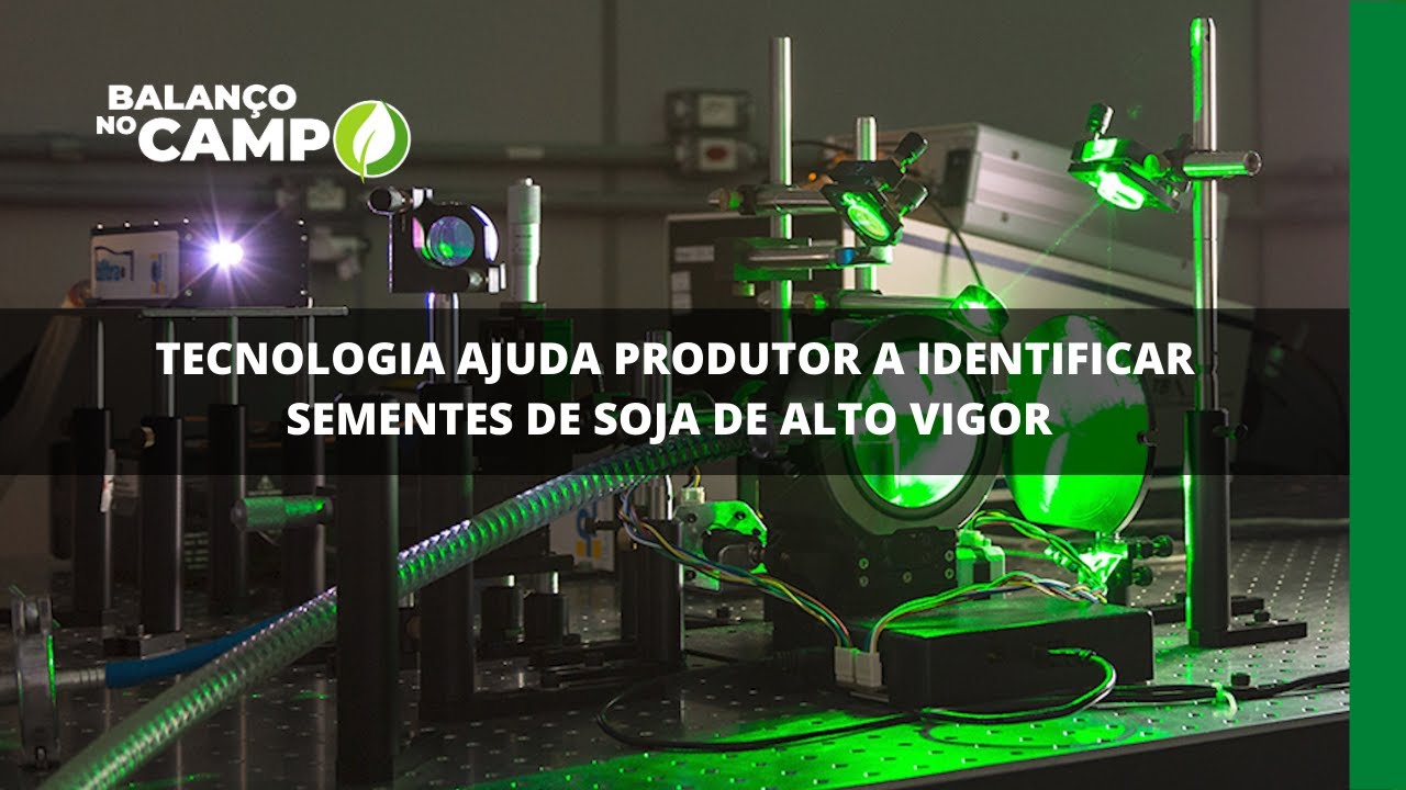 Tecnologia ajuda produtor a identificar sementes de soja de alto vigor