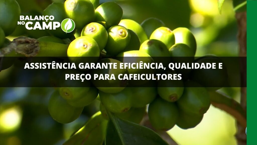 Assistência garante eficiência, qualidade e preço para cafeicultores