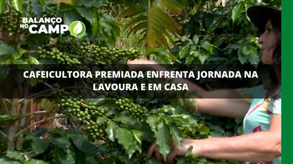 Cafeicultora premiada enfrenta jornada na lavoura e em casa