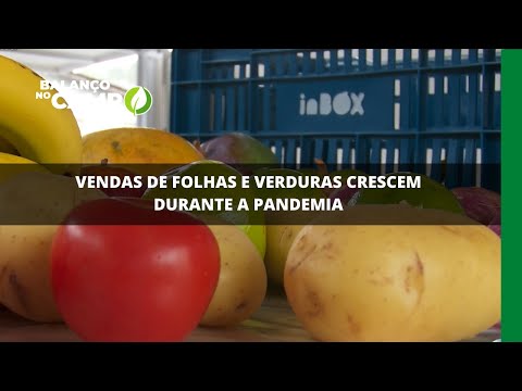 Vendas de folhas e verduras crescem durante a pandemia