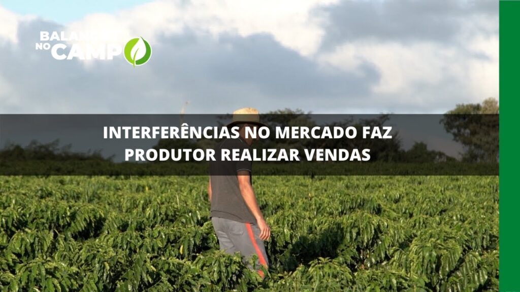 Interferências no mercado faz produtor realizar vendas