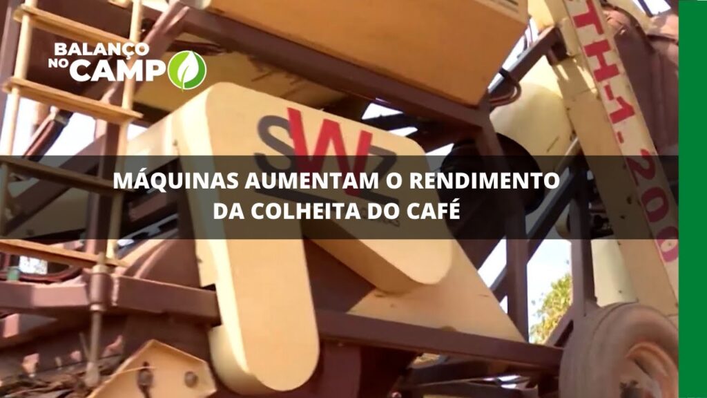 Máquinas aumentam o rendimento da colheita do café