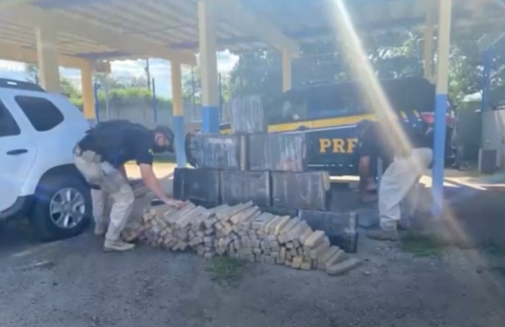 Cachoeira do Pajeú: PRF apreende mais de uma tonelada de maconha na BR-116