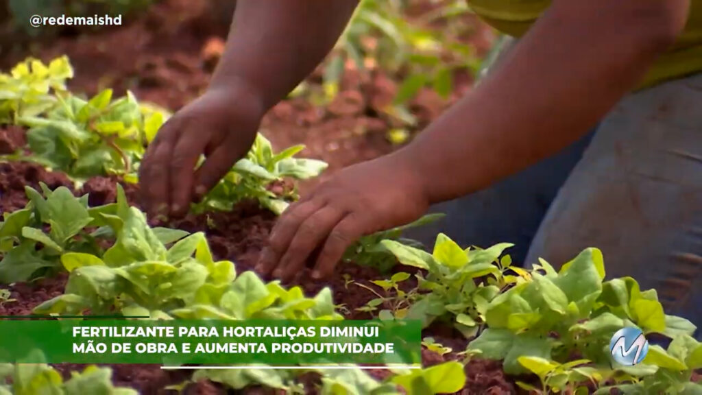 Fertilizante para hortaliças diminui mão de obra e aumenta produtividade