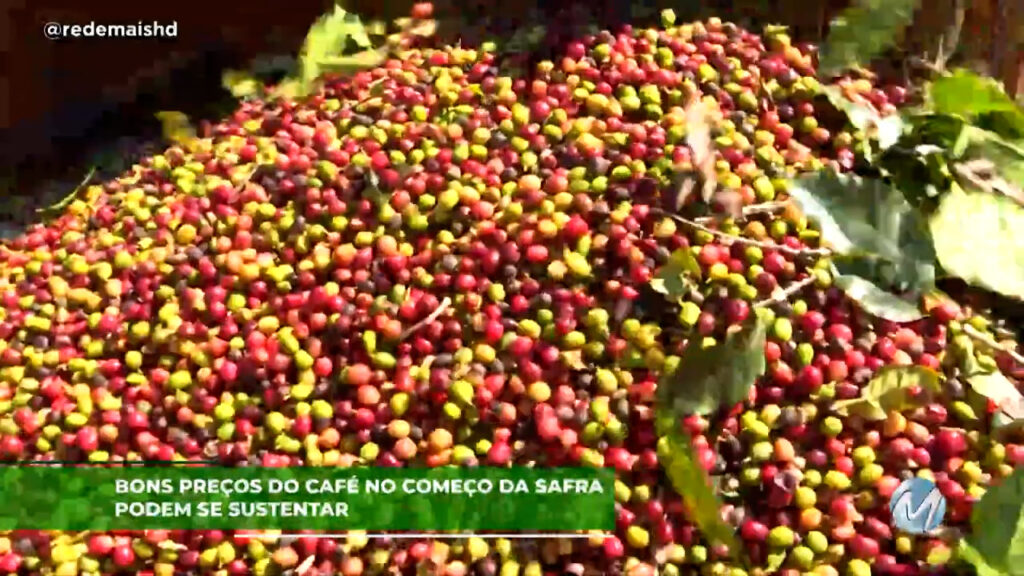 Bons preços do café no começo da safra podem se sustentar