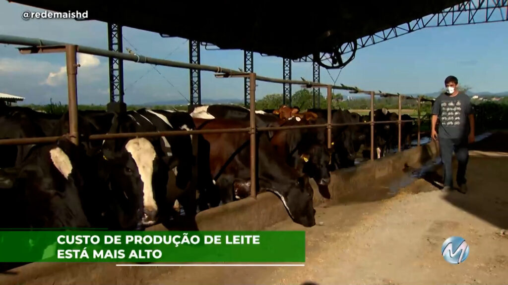 Desafio para pecuaristas: Custo de produção de leite está mais alto.