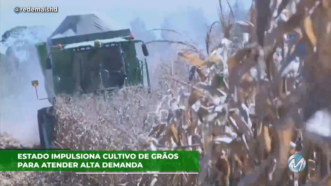 Estado impulsiona cultivo de grãos para atender alta demanda