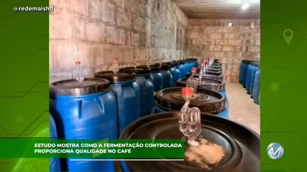 Estudo mostra como a fermentação controlada proporciona qualidade no café.