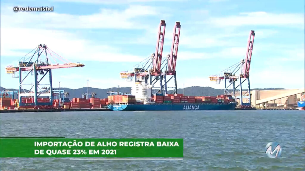 Importação de alho registra baixa de quase 23% em 2021.