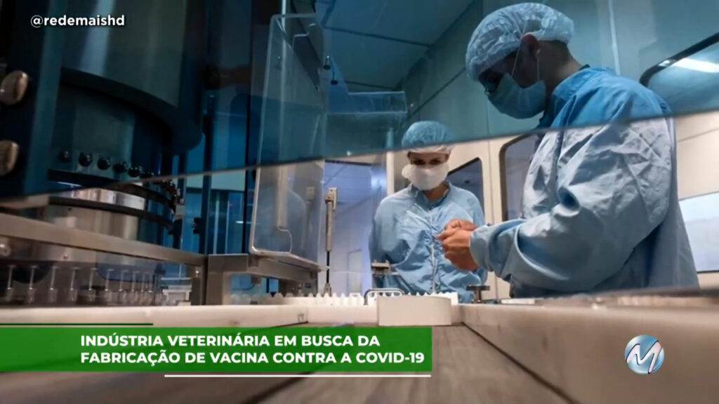 Indústria veterinária em busca da fabricação de vacina contra a COVID-19