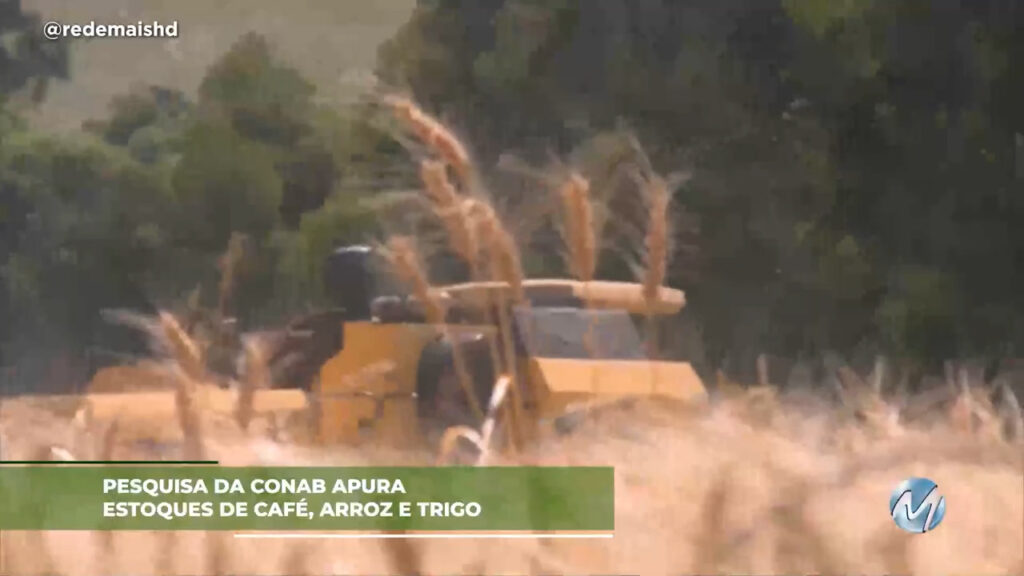 Pesquisa da CONAB apura estoques de café, arroz e trigo