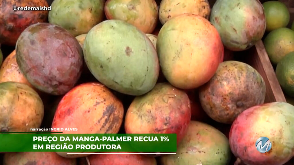 Preço da manga-palmer recua 1% em região produtora