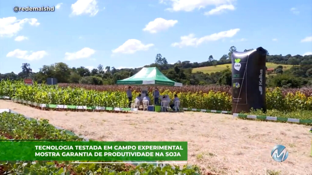 Tecnologia testada em campo experimental mostra garantia de produtividade na soja.