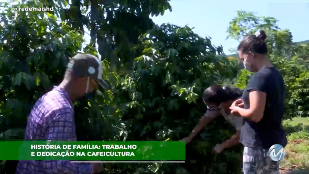 História de família: trabalho e dedicação na cafeicultura