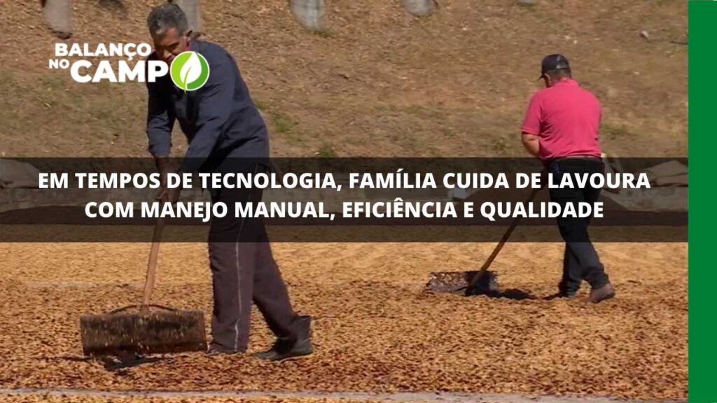 Em tempos de tecnologia, família cuida de lavoura com manejo manual, eficiência e qualidade