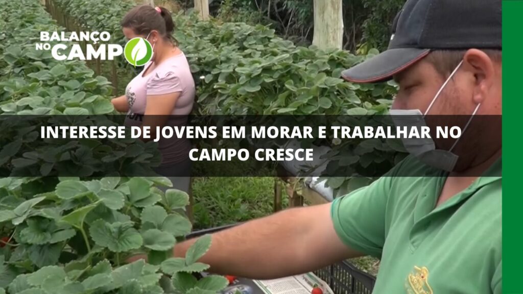 Interesse de jovens em morar e trabalhar no campo cresce