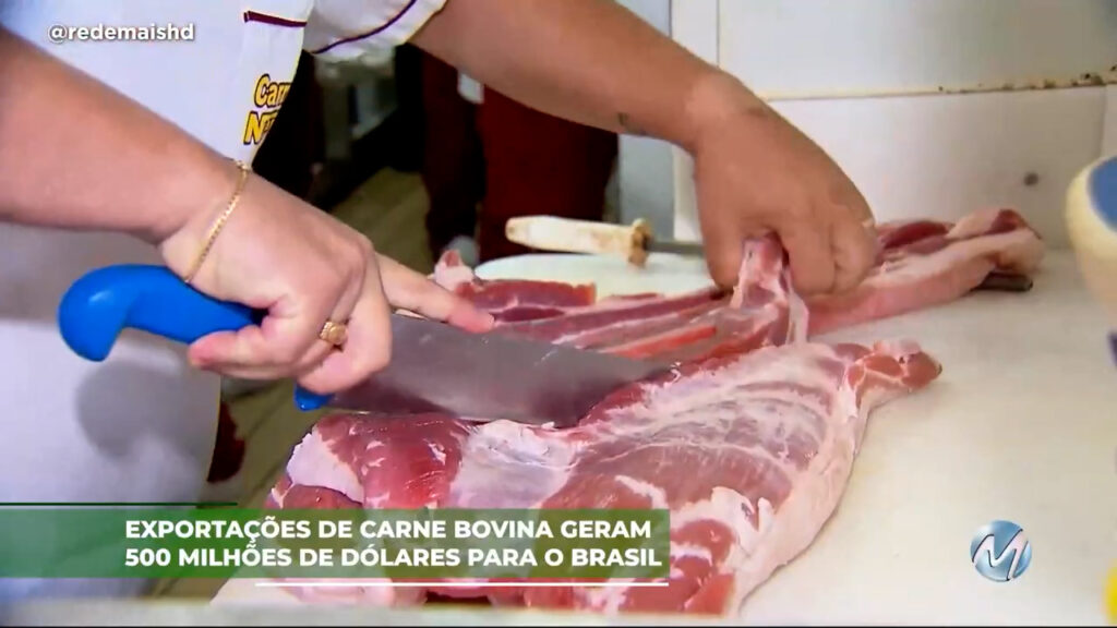 Exportações de carne bovina geram 500 milhões de dólares para o Brasil