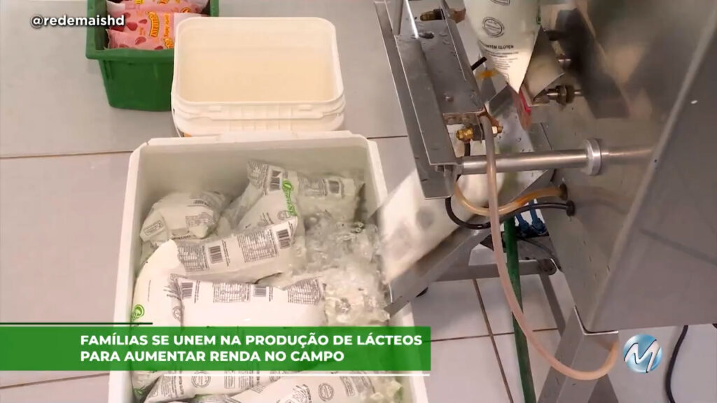 Famílias se unem na produção de lácteos para aumentar renda no campo