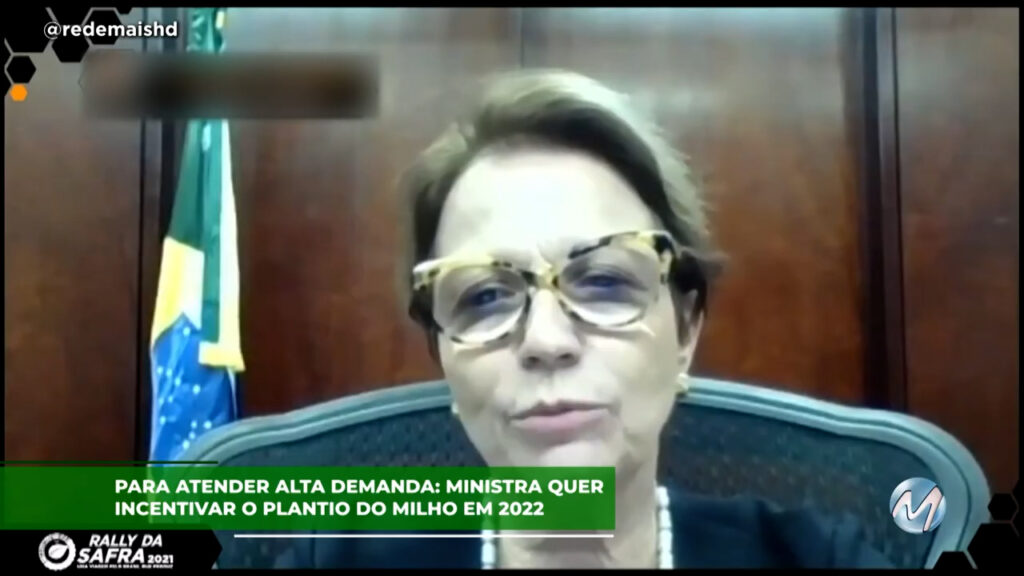 Para atender alta demanda: Ministra quer incentivar o plantio do milho em 2022