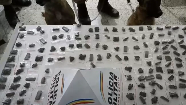 Pouso Alegre: cães policiais encontram drogas enterradas em matagal