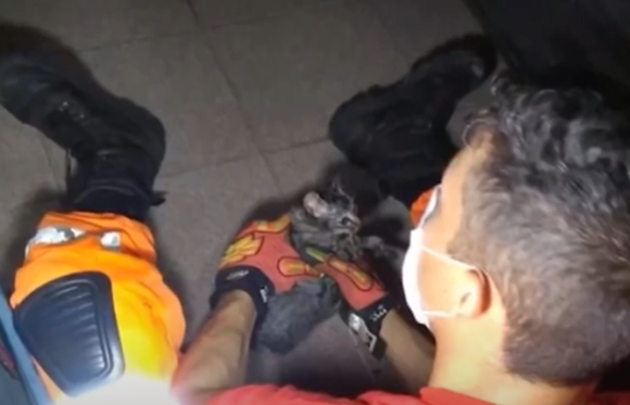 Muriaé: gatinho fica preso em lataria de carro e dá trabalho para militares