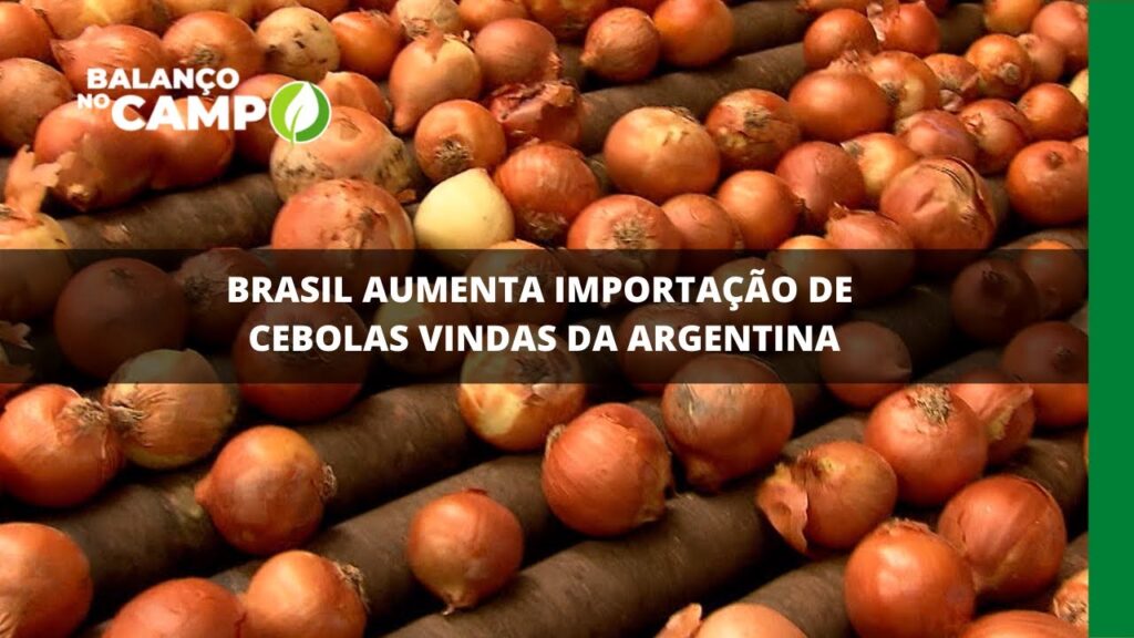 BRASIL AUMENTA IMPORTAÇÃO DE CEBOLAS VINDAS DA ARGENTINA