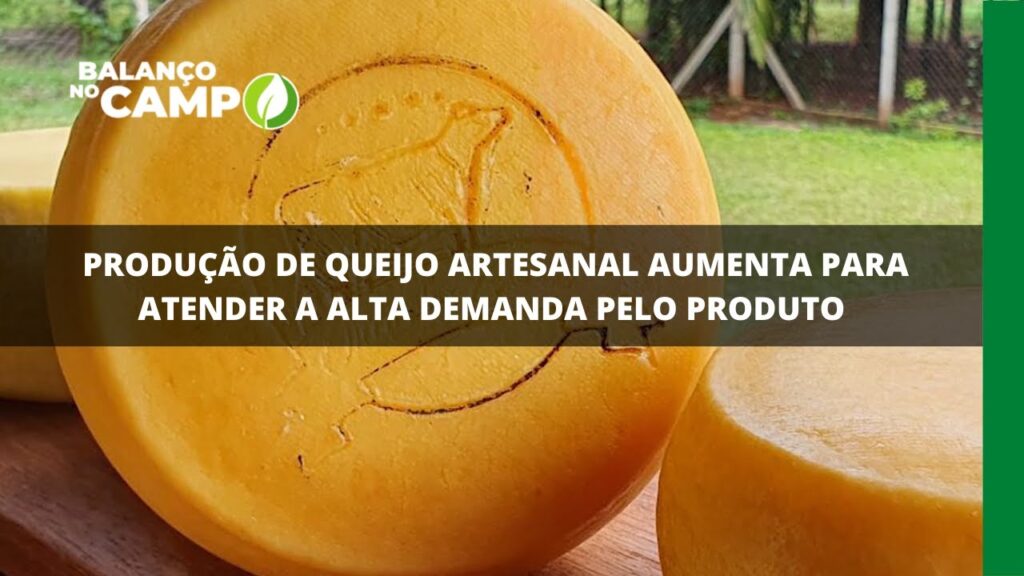 Produção de queijo artesanal aumenta para atender a alta demanda pelo produto