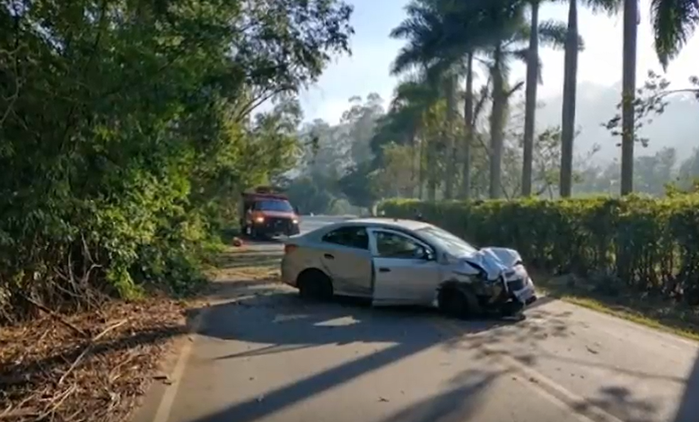 Entre Muriaé e Miraí: carro bate em árvore e galhos ficam espalhados pela pista