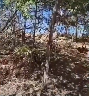 Claro dos Poções: projeto recupera nascente em área devastada