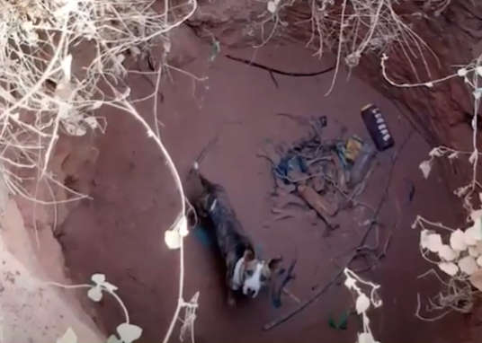 Januária: pit bull cai em cisterna e é resgatado pelos bombeiros
