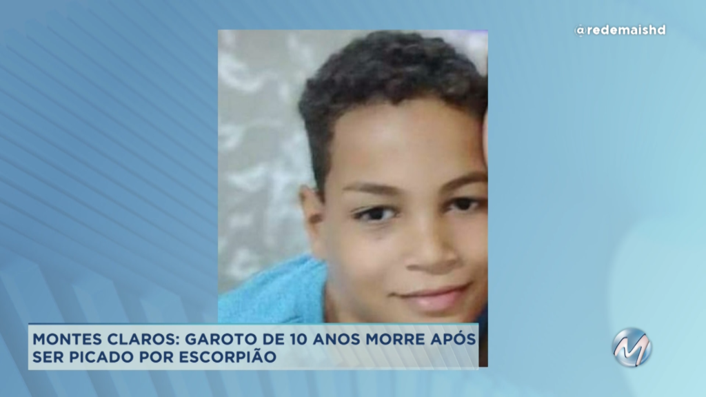 Tragédia no Norte de Minas: garoto morre após ser picado por escorpião