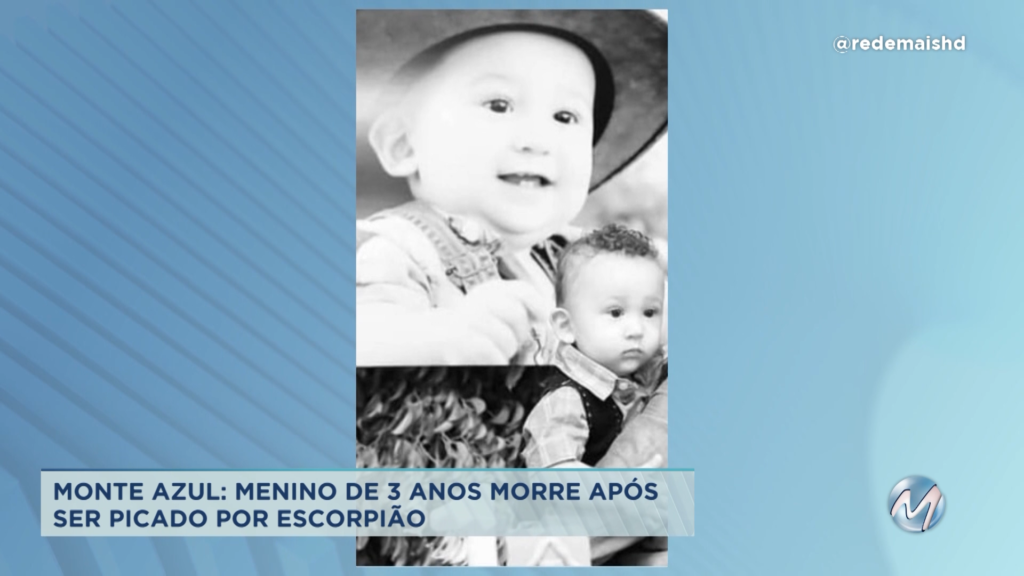 Monte Azul: menino morre após ser picado por escorpião