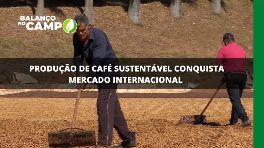 Produção de café sustentável conquista mercado internacional