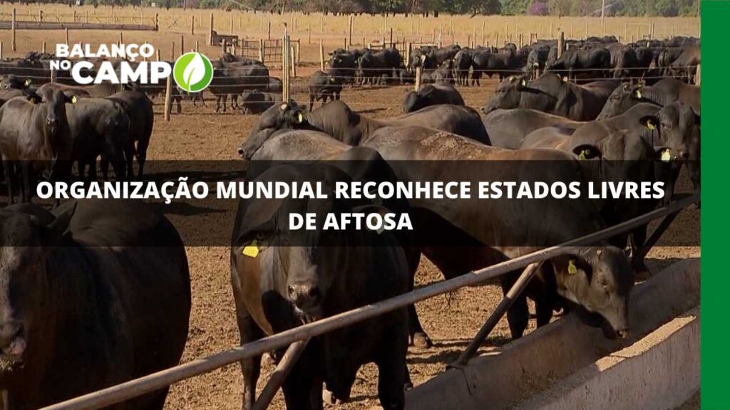 Organização mundial reconhece estados livres de aftosa