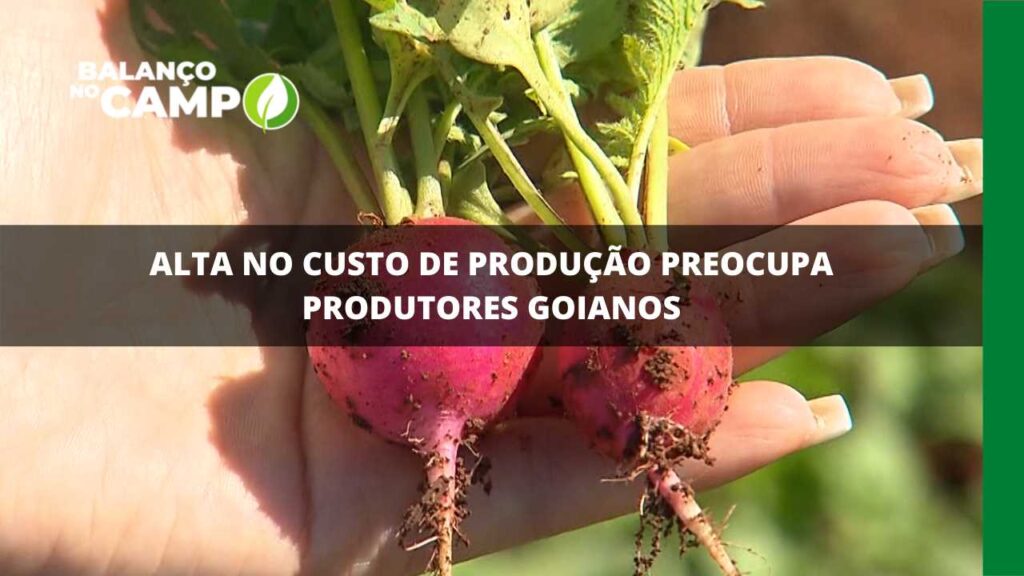 Alta no custo de produção preocupa produtores goianos