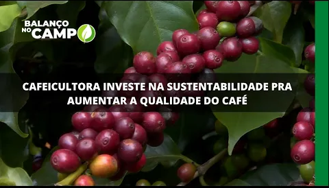 Cafeicultora investe na sustentabilidade pra aumentar a qualidade do café