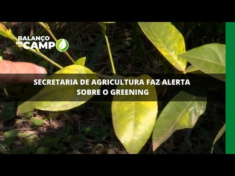 Secretaria de agricultura faz alerta sobre greening