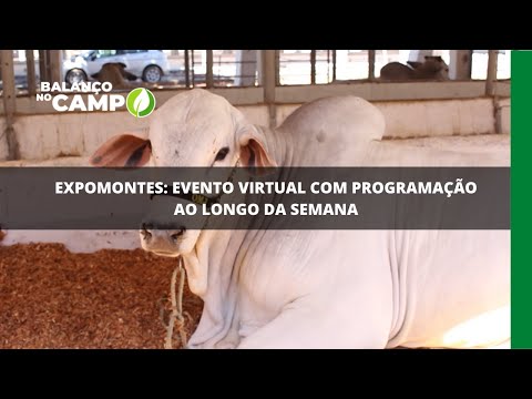 Expomontes: evento virtual com programação ao longo da semana