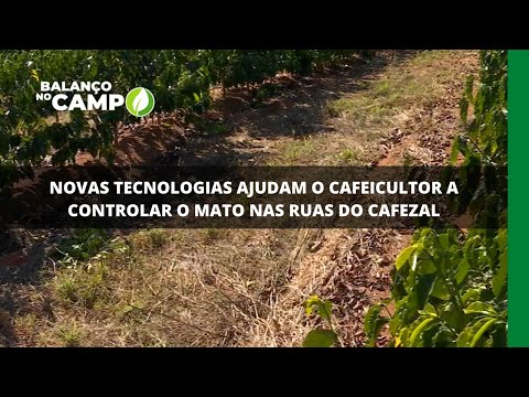 Novas tecnologias ajudam o cafeicultor a controlar o mato nas ruas do cafezal