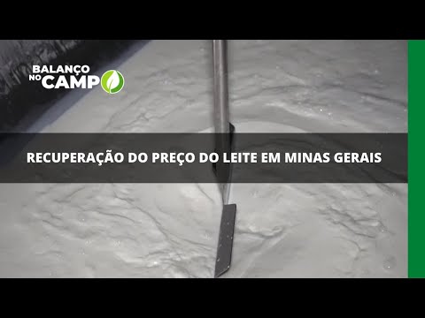 Recuperação do preço do leite em Minas Gerais