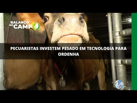 Pecuaristas investem pesado em tecnologia para ordenha