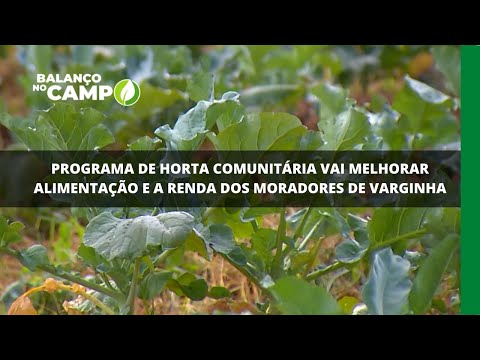 Programa de horta comunitária vai melhorar alimentação e a renda dos moradores de Varginha