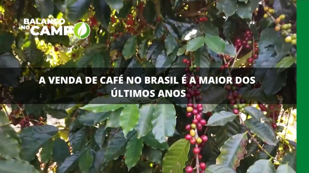 A venda de café no Brasil é a maior dos últimos anos