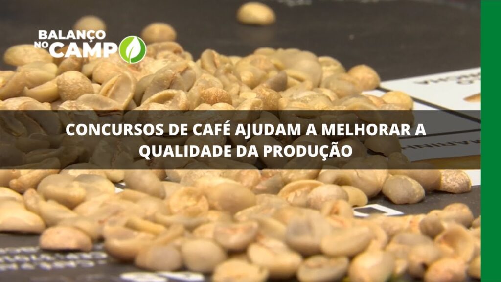 Concursos de café ajudam a melhorar a qualidade da produção