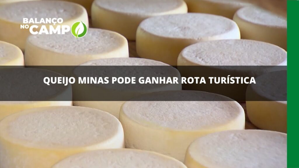 Queijo minas pode ganhar rota turística