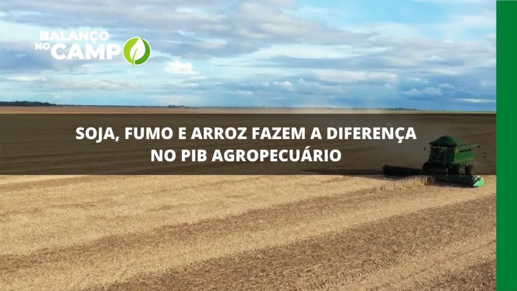 Soja, fumo e arroz fazem a diferença no PIB agropecuário