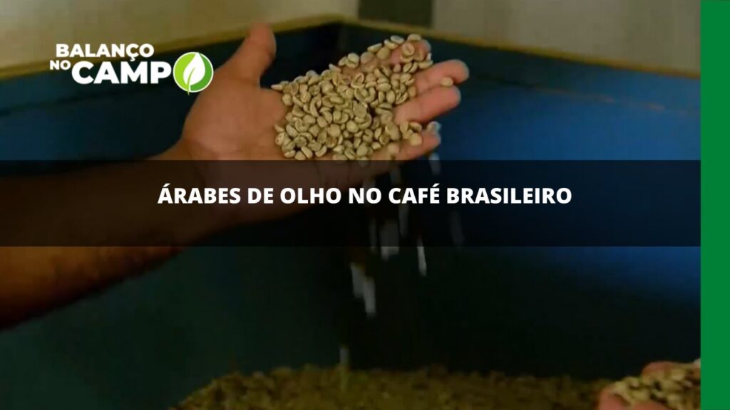 Árabes de olho no café brasileiro