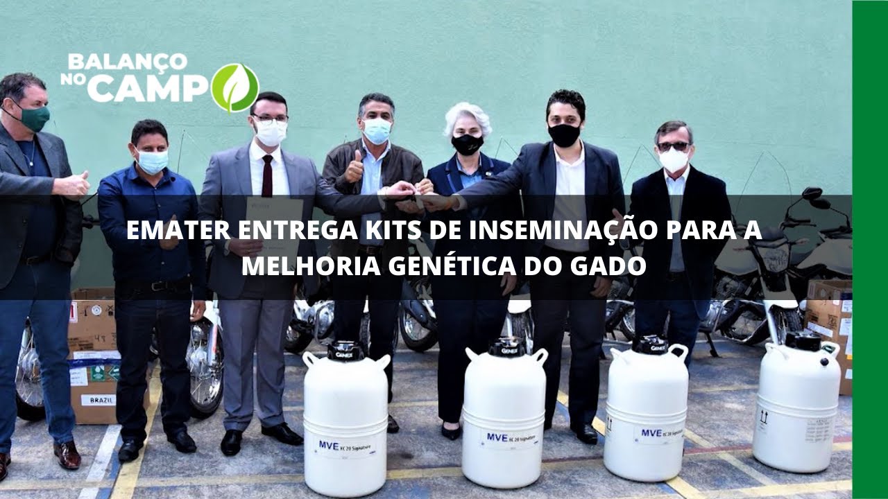 Emater entrega kits de inseminação para a melhoria genética do gado