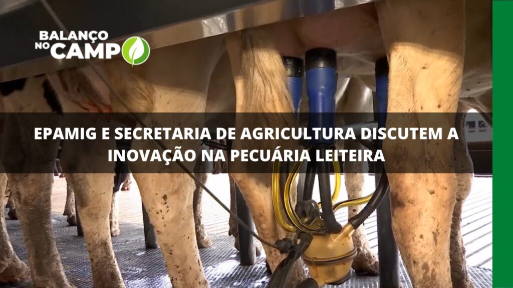 Epamig e secretaria de agricultura discutem a inovação na pecuária leiteira