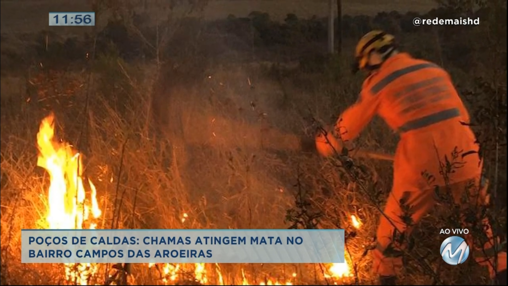 Poços de Caldas: bombeiros combatem fogo em mata